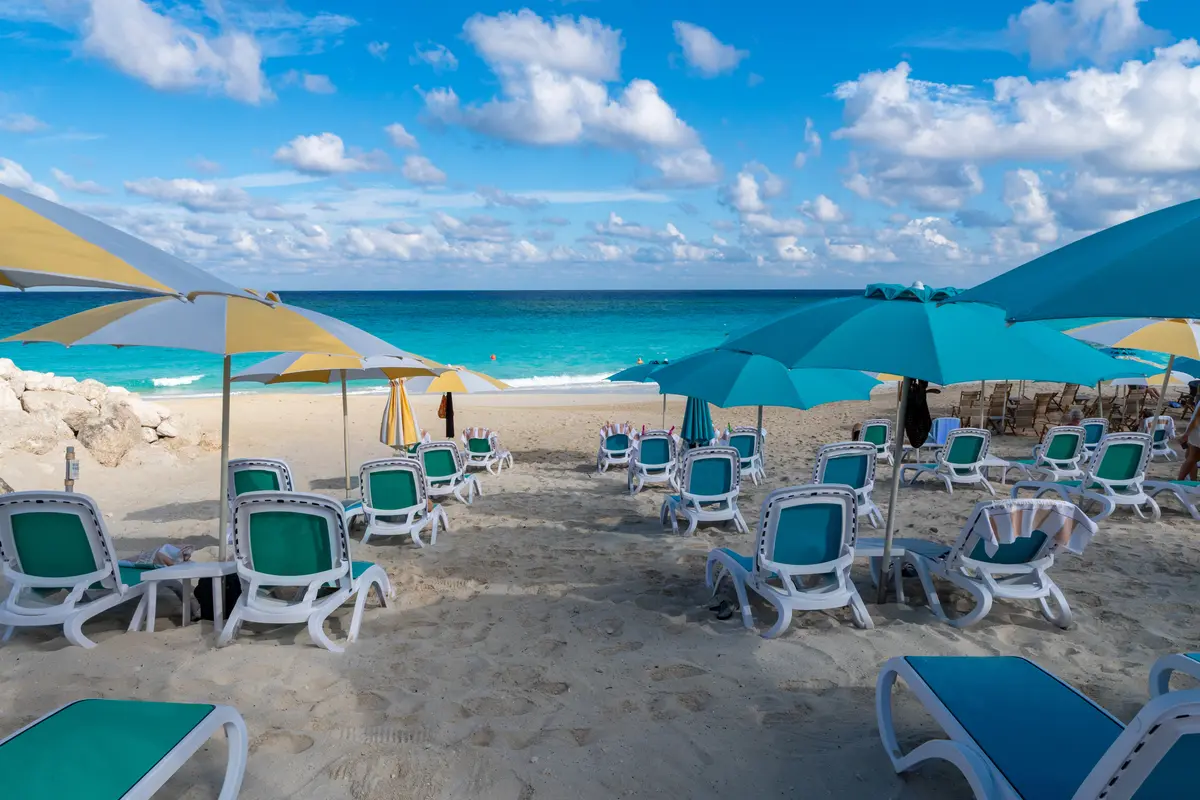 Beach chairs and umbrellas
