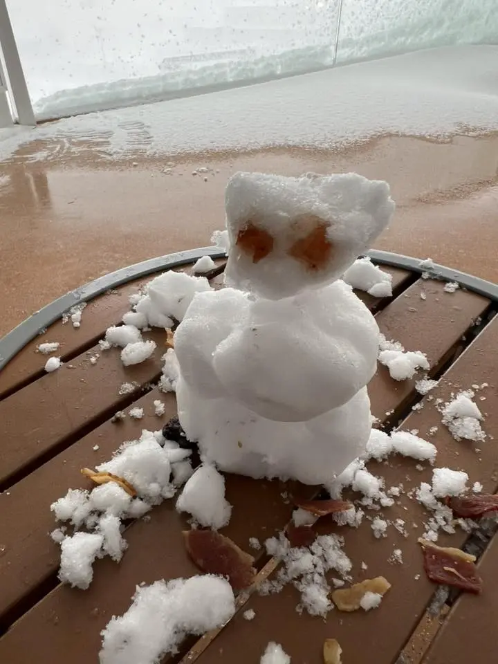 Joanne E Shi Snowman Joanne E Shi Snowman