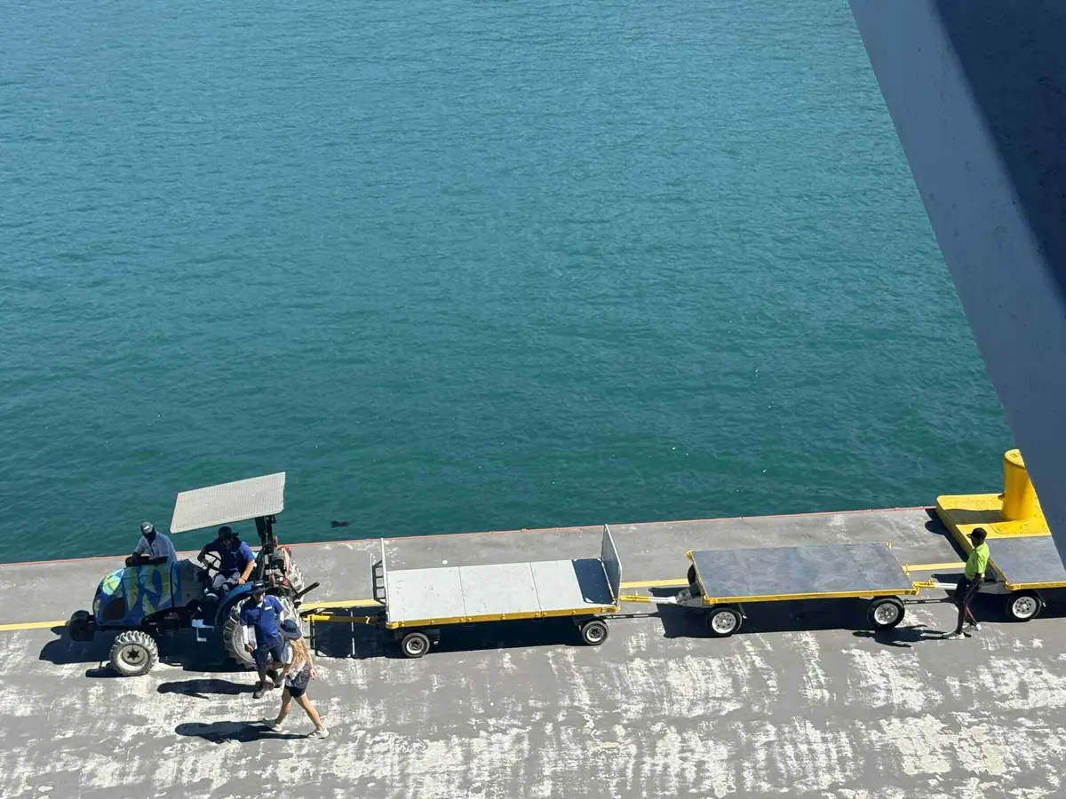 Oasis Relief Supplies Oasis Relief Supplies