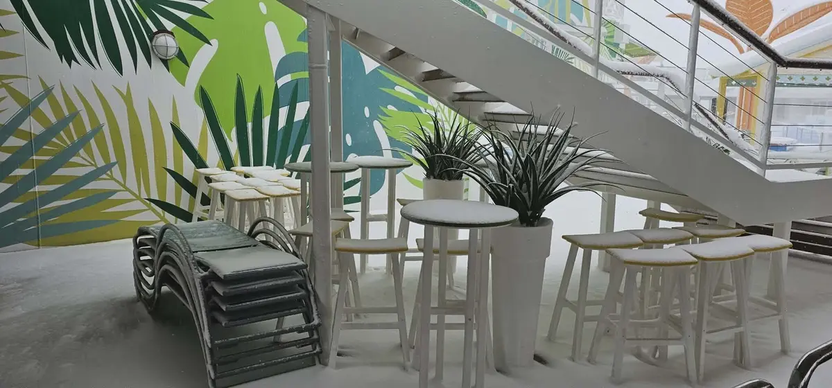 Odyssey of the Seas in the snow Odyssey of the Seas in the snow