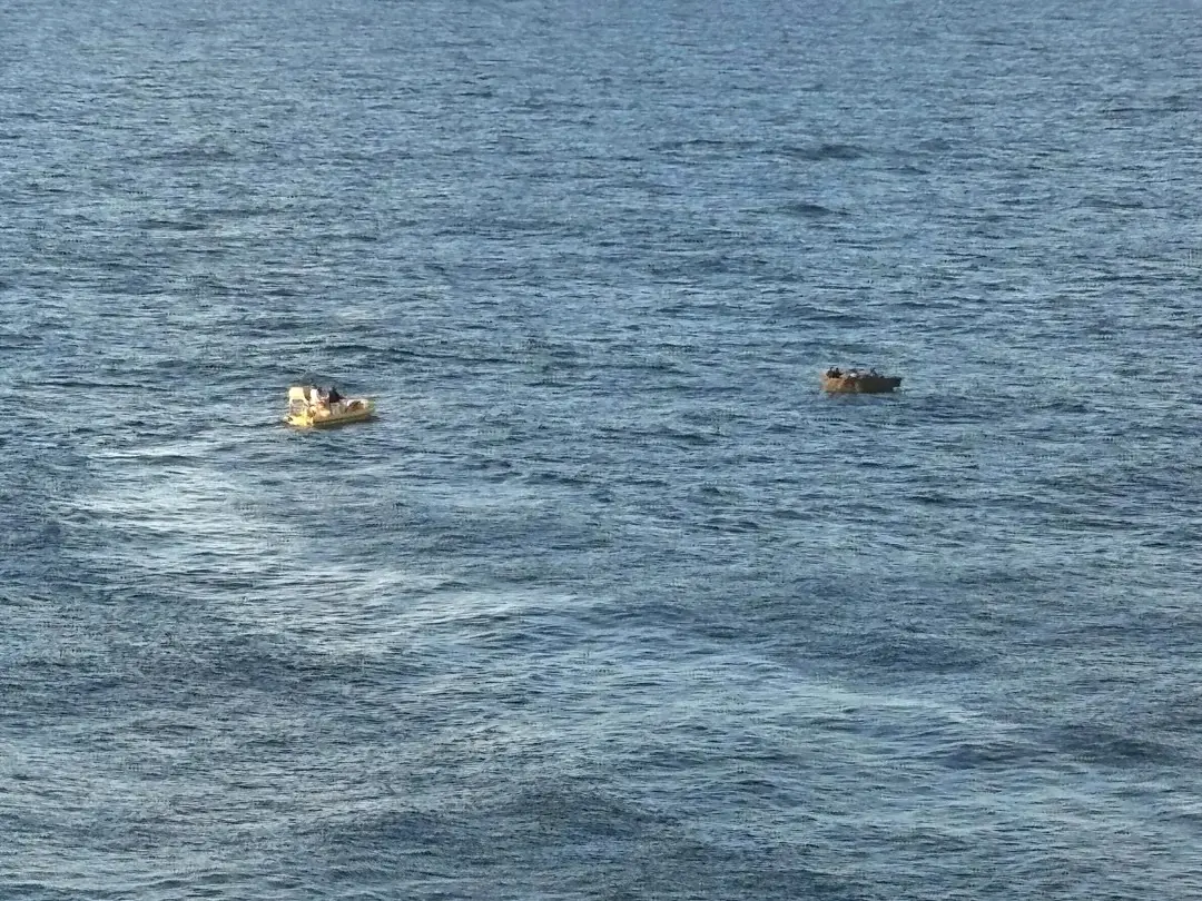 Radiance Rescue Reddit Credit Radiance Rescue Reddit Credit