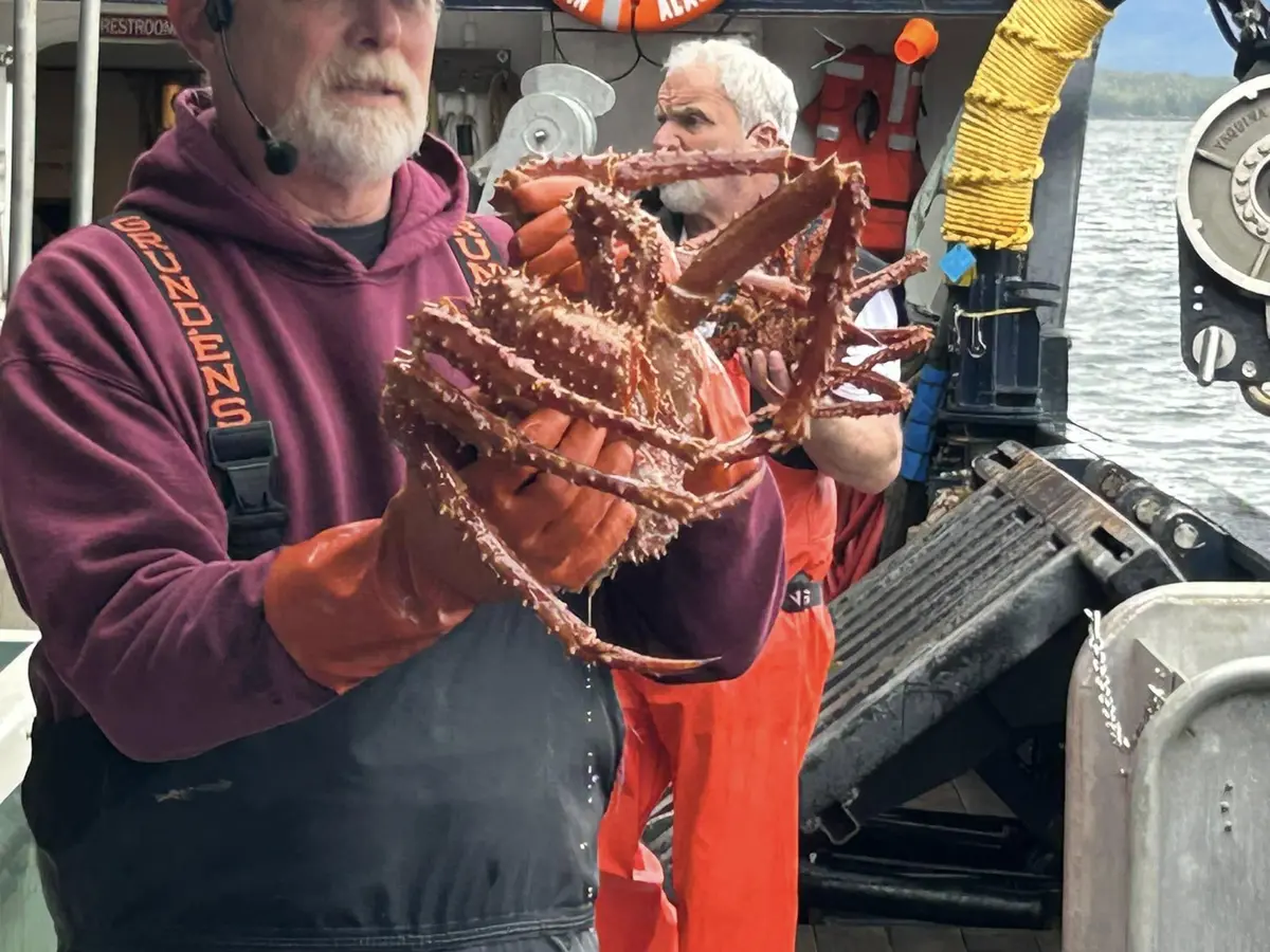 Sea crab tour