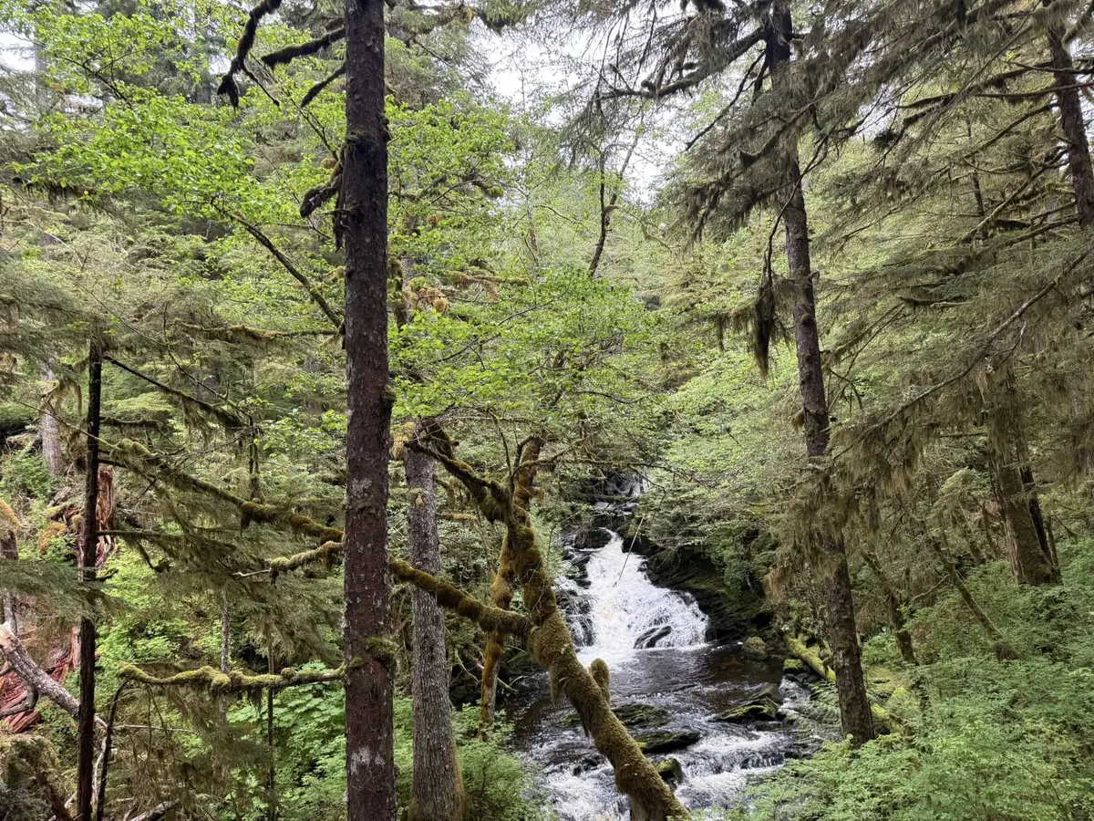 Nature