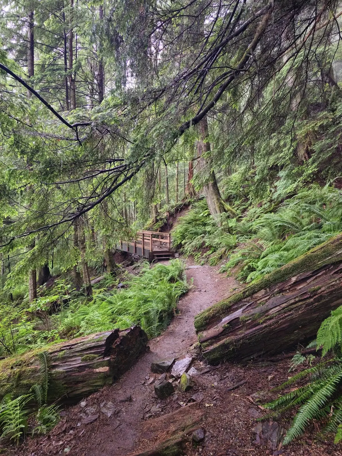 Rainbird Hiking Trail
